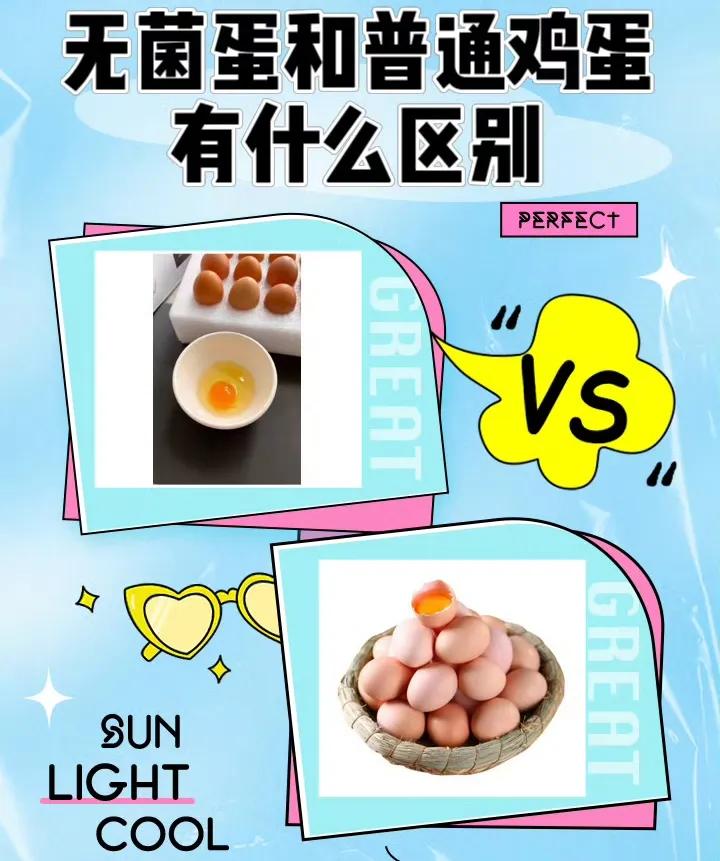 央視揭秘無菌蛋:網紅蛋營養大盤點,看清真相 ,選購無憂