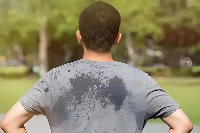 河南極端高溫 蚊子都被熱死了