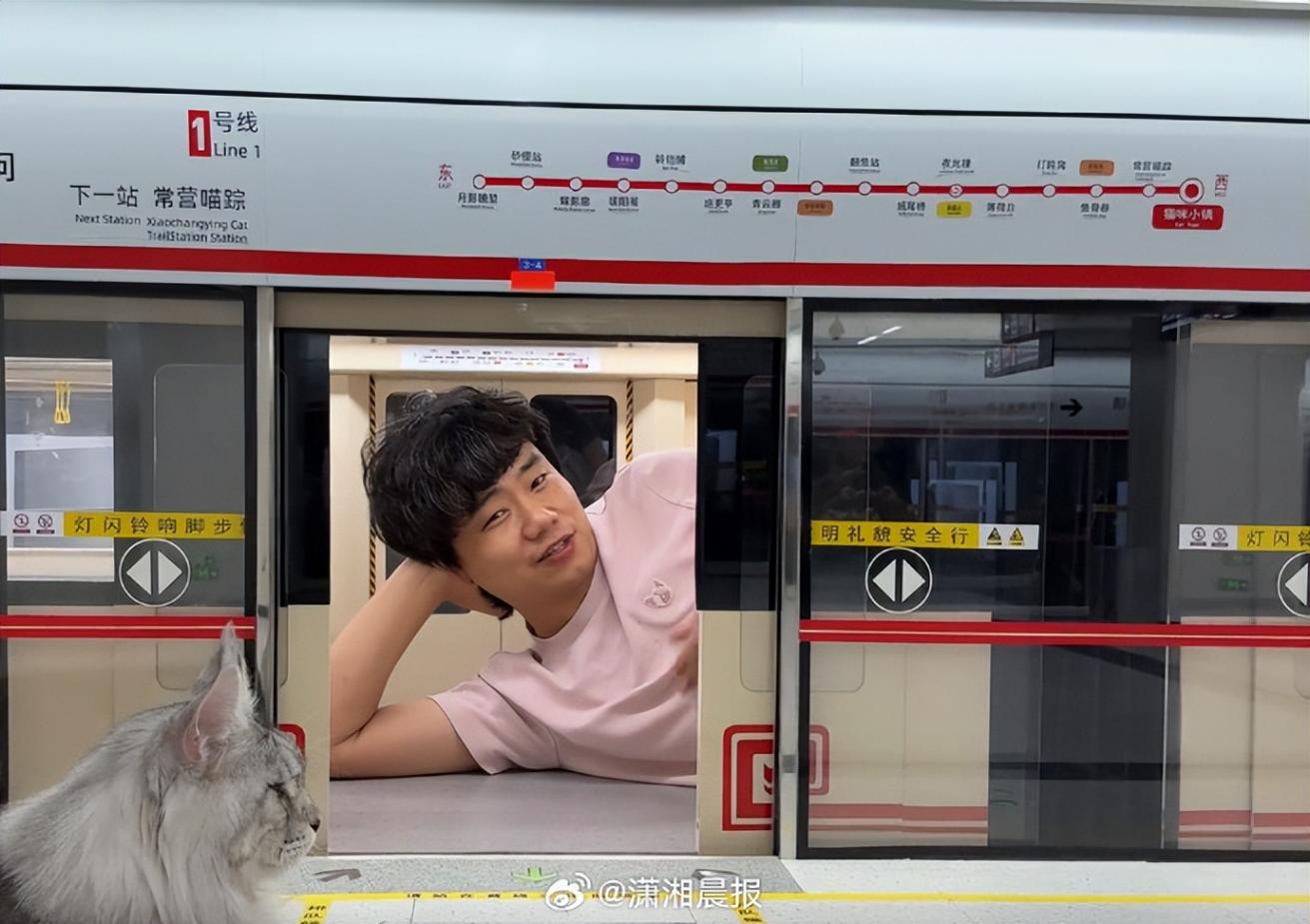 小伙4個月手工造出“貓咪地鐵站”